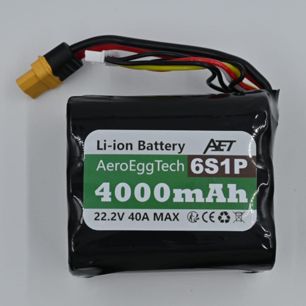 4000mAh 6S1P